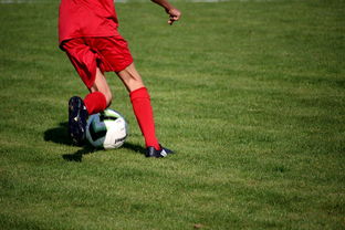 开云·体育官方网站入口-NBA球队青训体系建设与人才储备，nba青年队